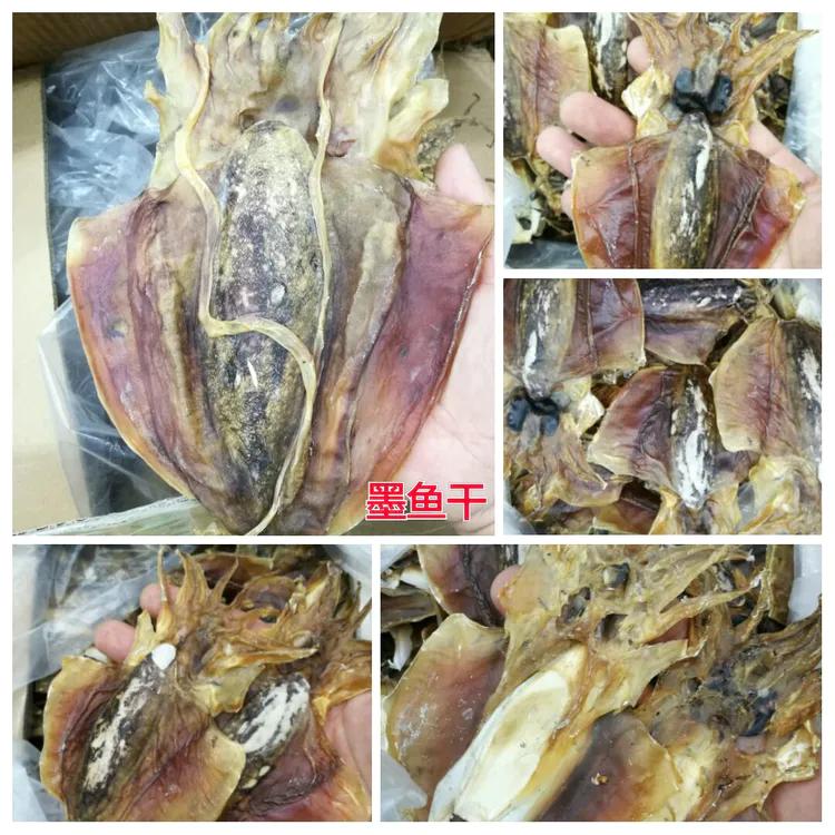 海陵岛闸坡渔港,海陵岛闸坡世界级渔港码头