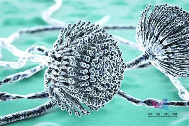 一家三口全住院大蒜千万别这么吃,一家三口吃大蒜丧命是真的吗