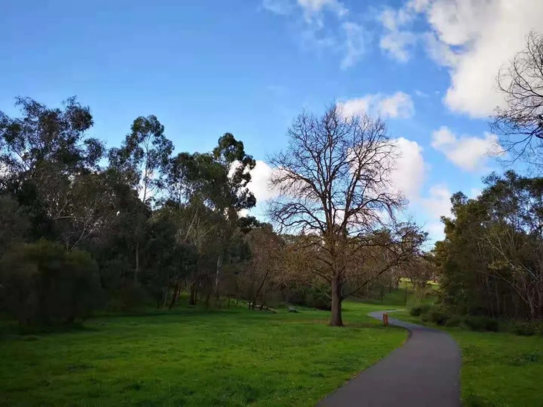 闲舍杂谈丨收藏跑步