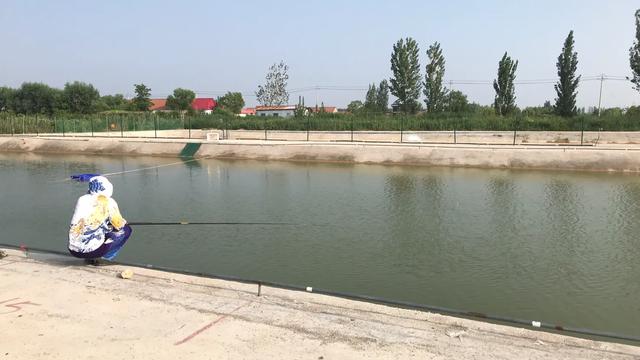 黑坑“肥水”鱼难钓，如何调整？因地制宜分析原因，即可有效避免