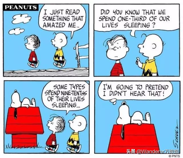 史努比漫画适合多大孩子看,史努比漫画图片