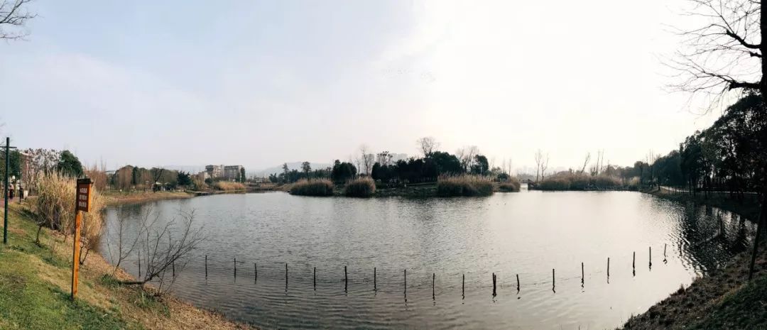 成都最新公园消息,成都陆续开放的公园