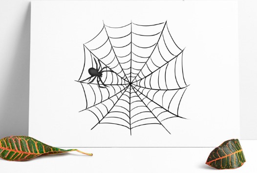 seo软件怎么使用,seo工具查看关键词排名