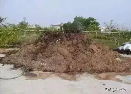 我家有“粪”不用再花钱买有机肥？对不起，你的灾难要来了