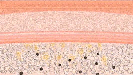 超好用的一款芦荟胶,排名第一的纯天然的芦荟胶