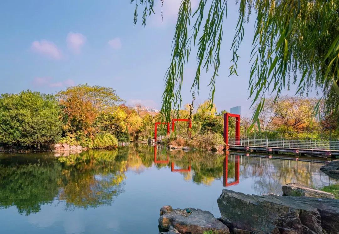 合肥市政务区的天鹅湖介绍,合肥天鹅湖设计