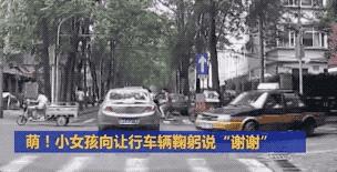 这才是董卿真实的样子,董卿跪地为什么获得网友的称赞