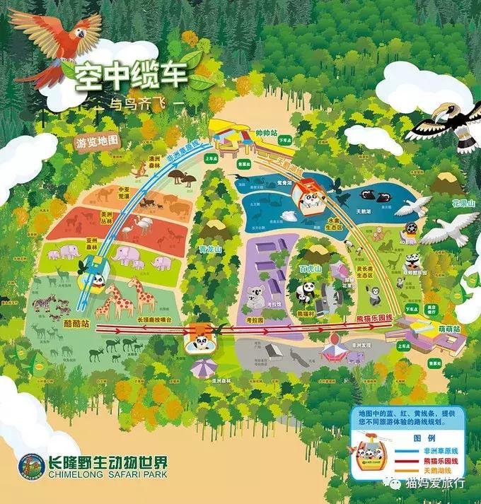 2天游玩广州长隆野生动物园攻略,广州长隆野生动物园步行游玩攻略