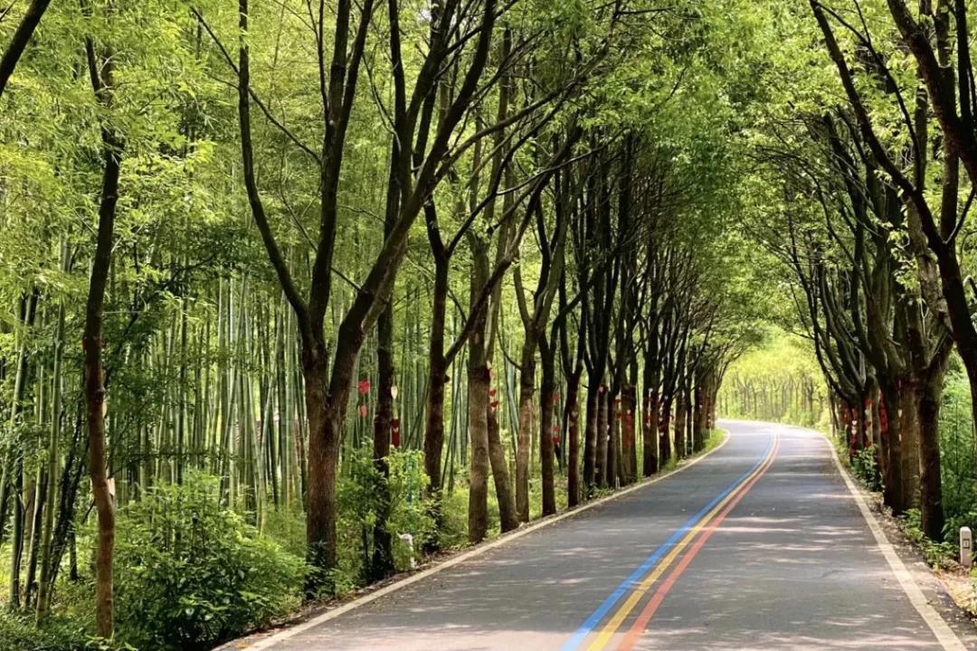 江浙沪冬日温泉泡汤周走起,春节江浙沪2-3天短途旅游温泉