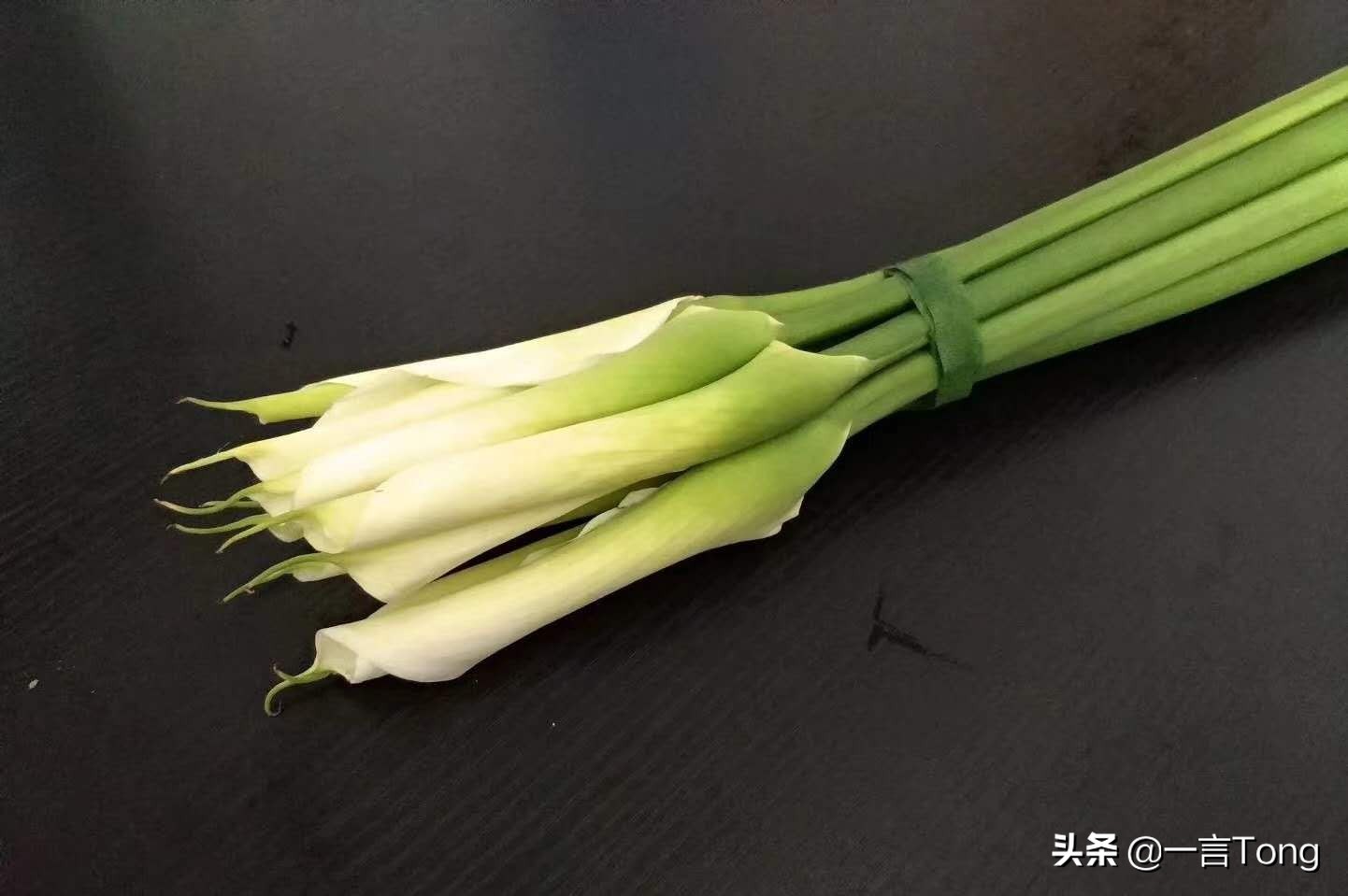 贵族版马蹄莲,高贵雅致马蹄莲