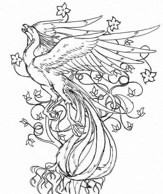 怎样画一个凤凰,怎么画个凤凰