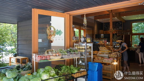 深度日本个人游攻略,日本旅游最后一日游攻略