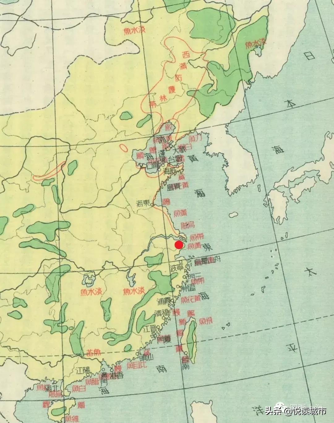 上海河道有什么好吃的鱼,上海好吃的鱼种有哪些鱼