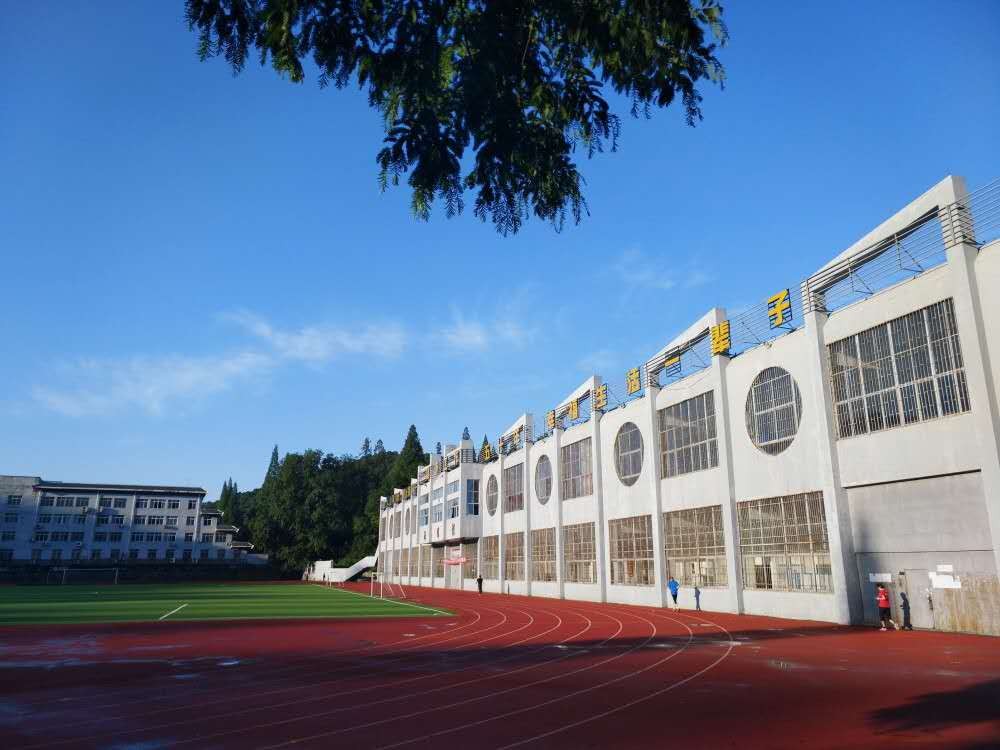 央视多次点赞武汉,央视点赞武汉直播