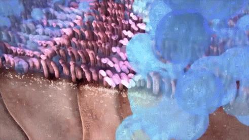 药物性鼻炎有什么严重后果,女子滥用鼻炎药