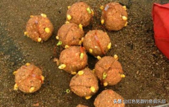 野钓钓大物用什么竿和饵料,手竿钓大鱼饵料怎么做