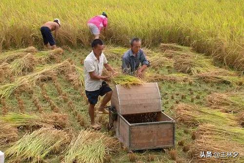 原生家庭怎么走出悲观,原生家庭的负面情绪怎么摆脱