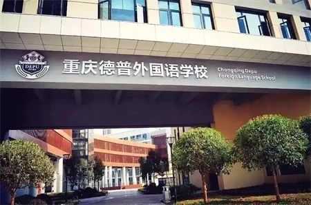 重庆小学费用到底多少钱,重庆的小学凭什么这么贵
