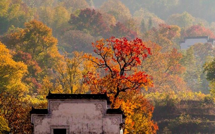 散文追寻遗落的秋光,追寻遗落的秋光全文