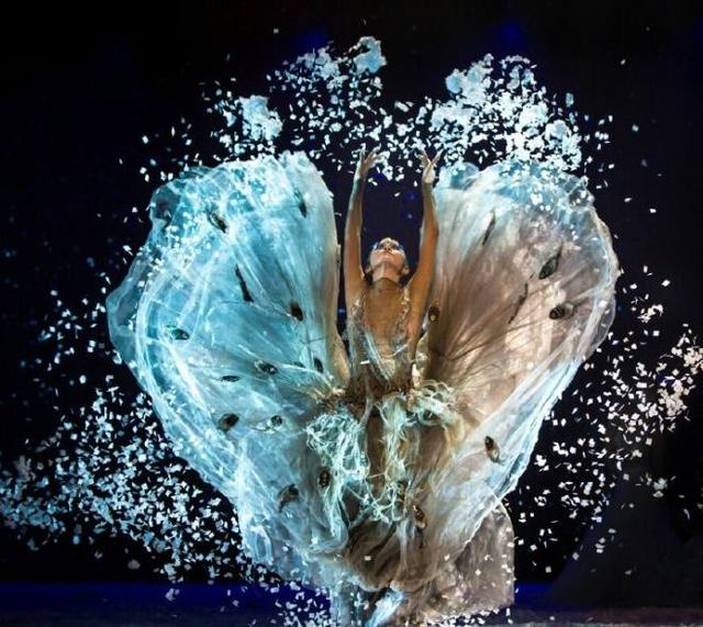 从杨丽萍秦岚事件看女性的“子宫自由”，我的子宫应该由谁做主？