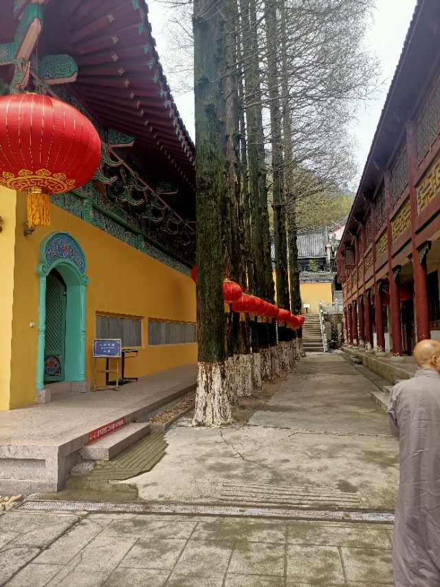 当我们受到欺负时该怎么办,当我们权益受到伤害时应该怎么办