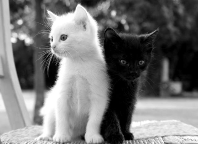 正念生活day32——恋爱和结婚这点事