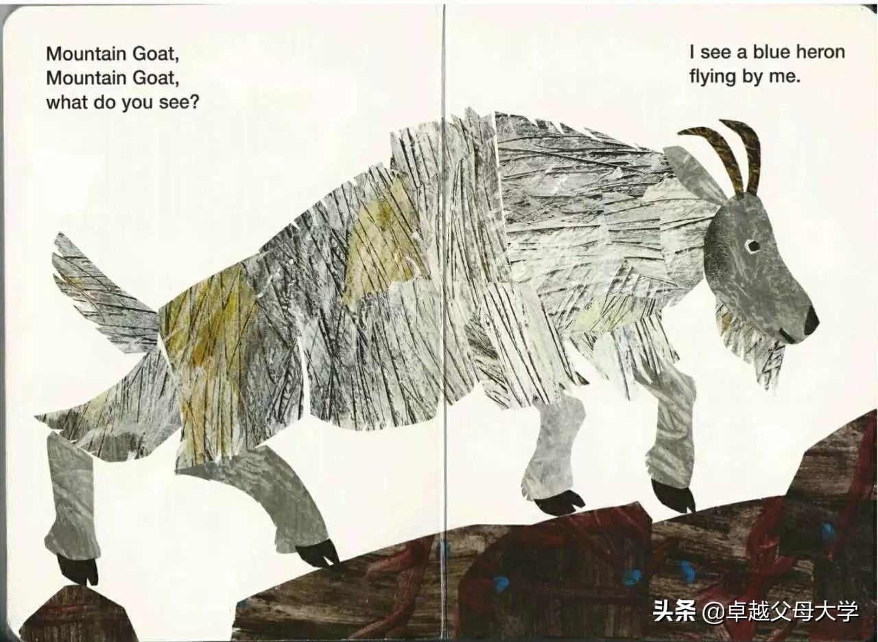 babybear英文绘本,babybearwhatdoyousee绘本