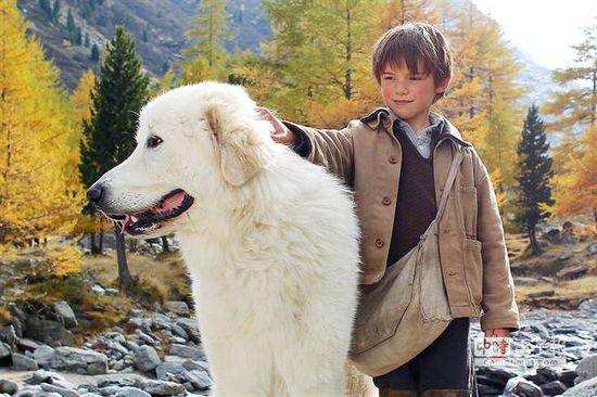 背负着“野人”名号，与野兽为友，一个8岁的孩子经历了什么？