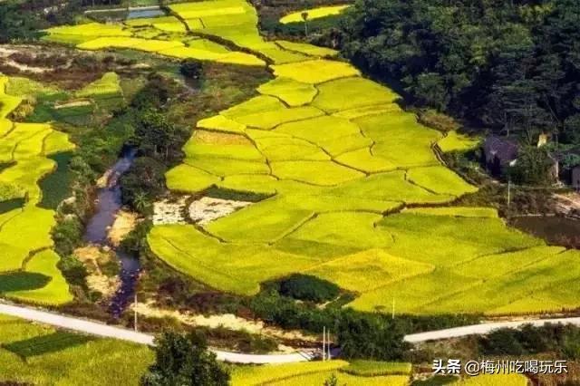 梅州县区最新划分,梅州市各县分布图