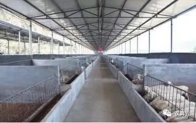 农村养猪场建设需要审批吗,农村建猪场怎么办手续流程