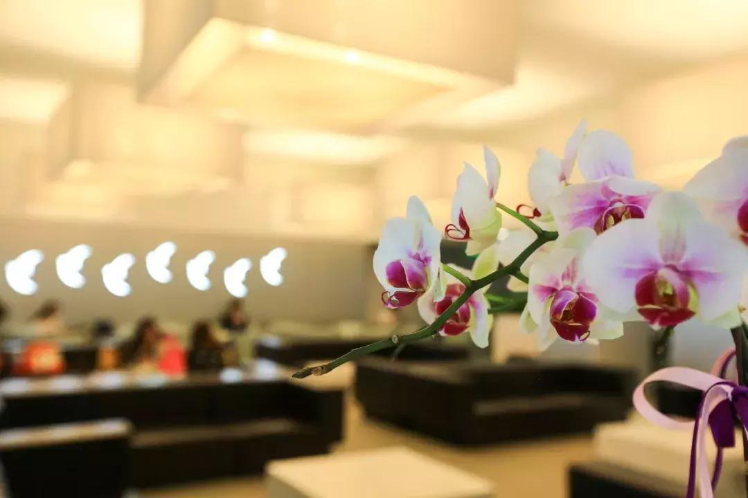 去澳门旅游度假除了*彩博**，原来还可以这么玩