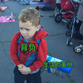 霸王都不如你的发际线坎坷啊，馥绿德雅，卡诗奇迹，伊索怎么样？