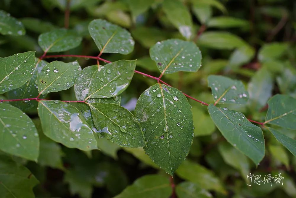 告别平谈的照片吧！17招让你的照片有大片感