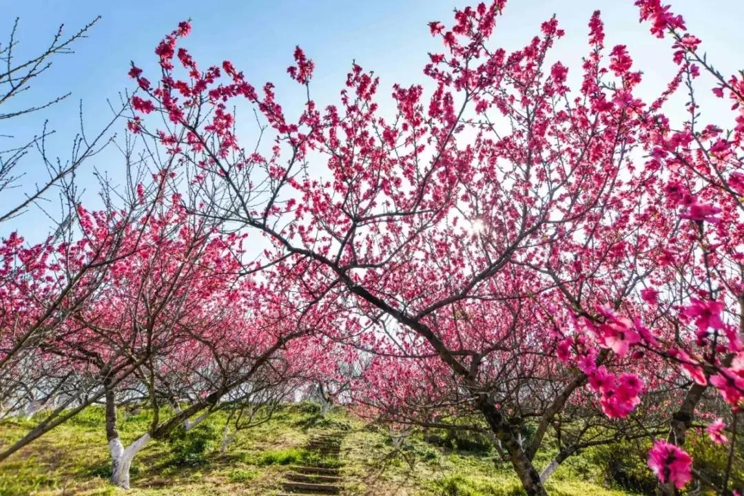中国古时对月份的雅称,十二月份的别称和雅称