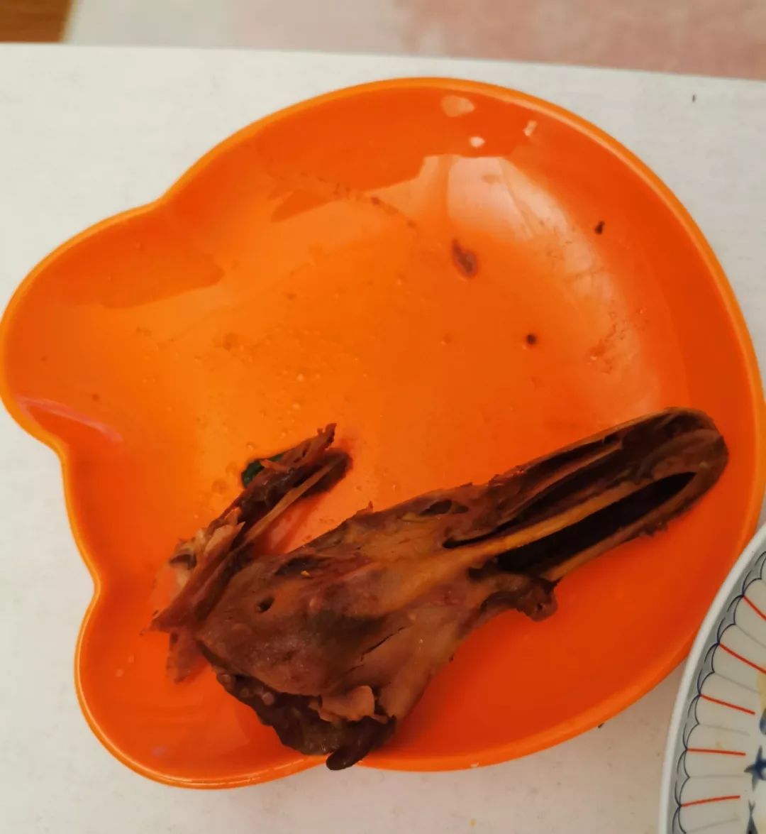 一只鸭引发血案,一只鸭引发的血案