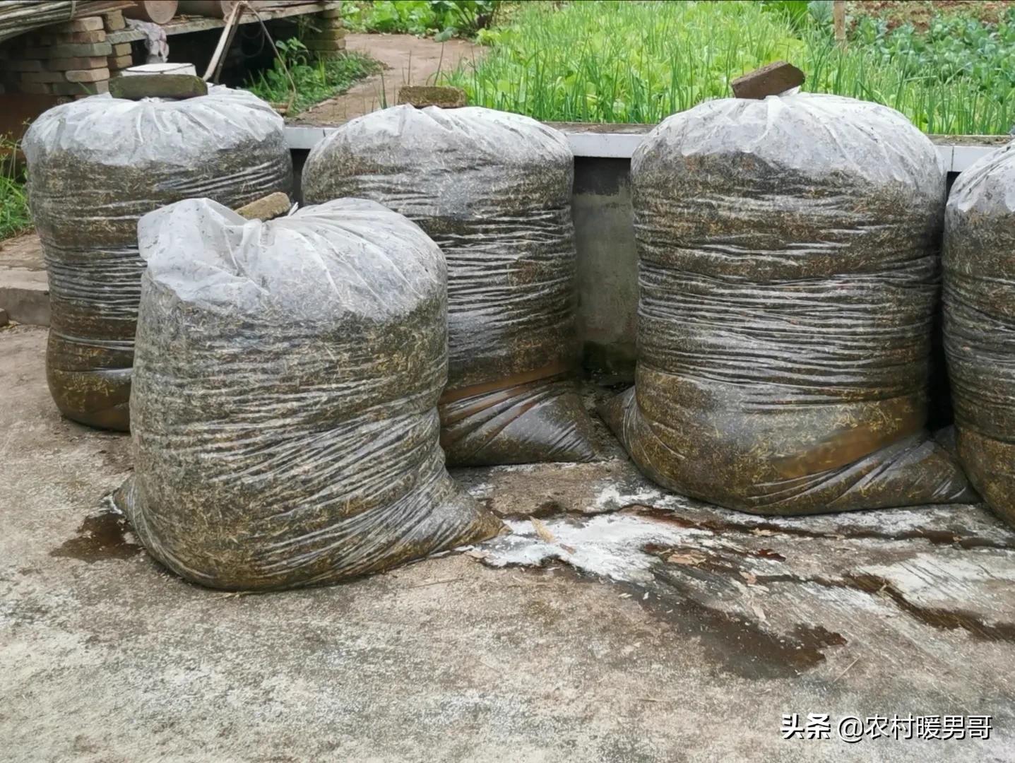 带大家一起走进乡村生活,农村生活带你体验