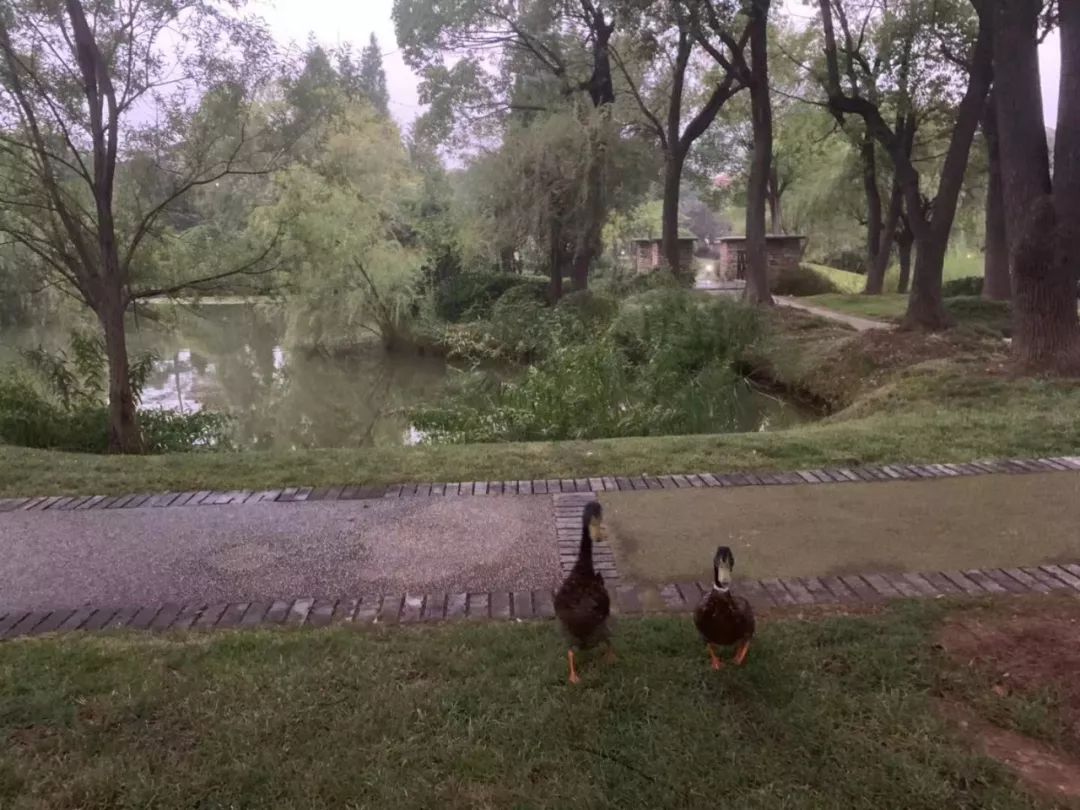 南京六大亿元顶级豪宅,南京千万以上豪宅真实成交量