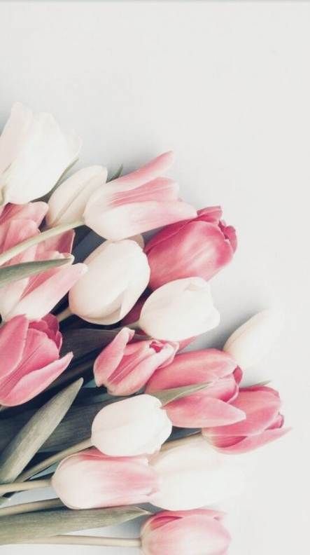 十二星座婚礼花材,十二星座新娘该选什么样的婚礼