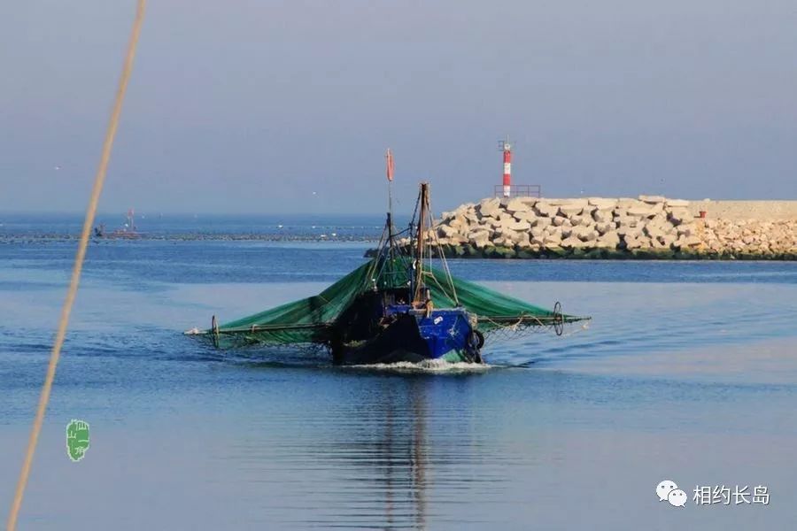 闀垮矝缃戠孩娴烽矞,闀垮矝娴烽矞澶ч鍥剧墖