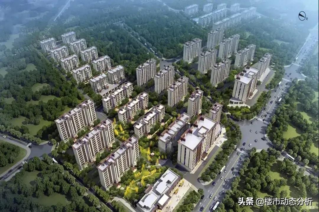 青岛人才公寓转商品房值得买吗,2024青岛人才公寓解读