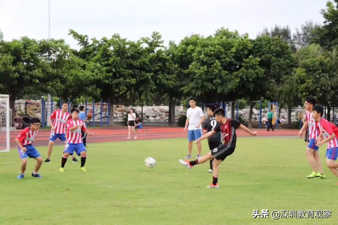 走名校vol.14|西乡中学：50年，我们专注做一件事