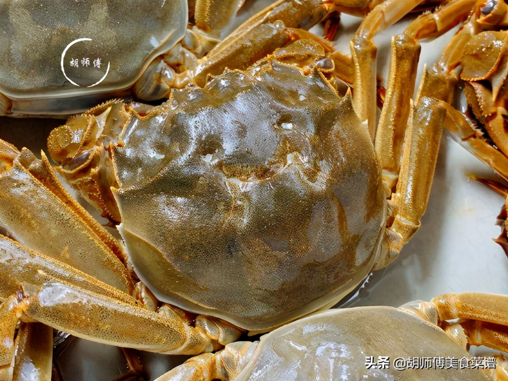 螃蟹要买公的还是母的怎么挑,教你挑选螃蟹的8个技巧