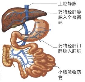 感冒直肠给药有危害吗,直肠给药的副作用