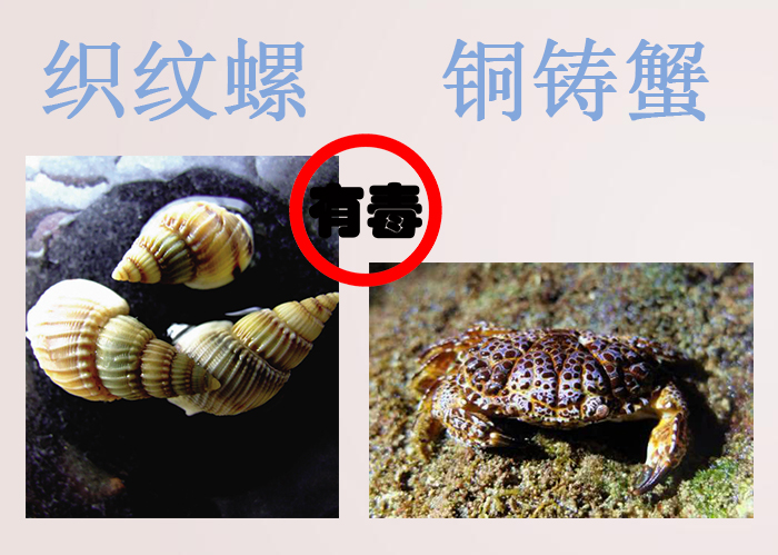 海南食物中毒,三亚吃东西食物中毒媒体曝光