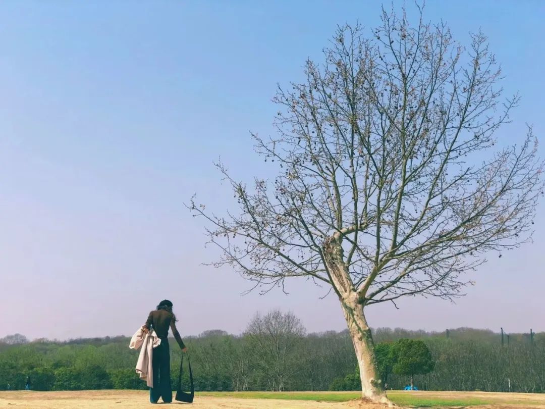 大家用手机拍出过什么好看的照片,赞别人的照片拍摄得好的句子