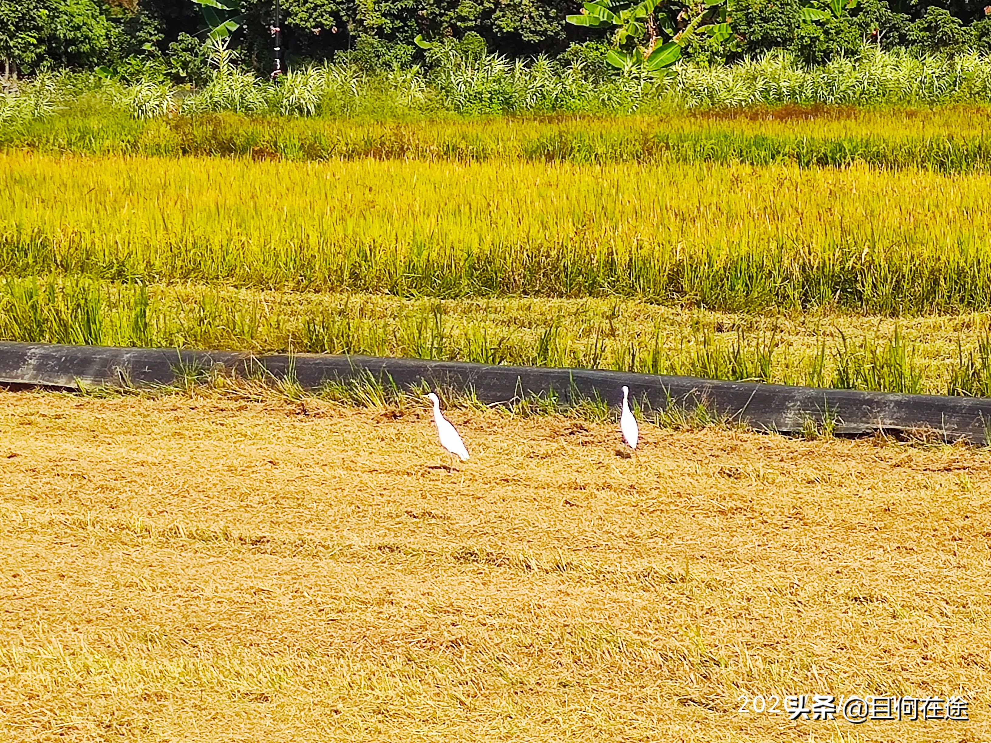 为什么要把饭碗牢牢端在自己手中,怎样才能把自己饭碗端在自己手里