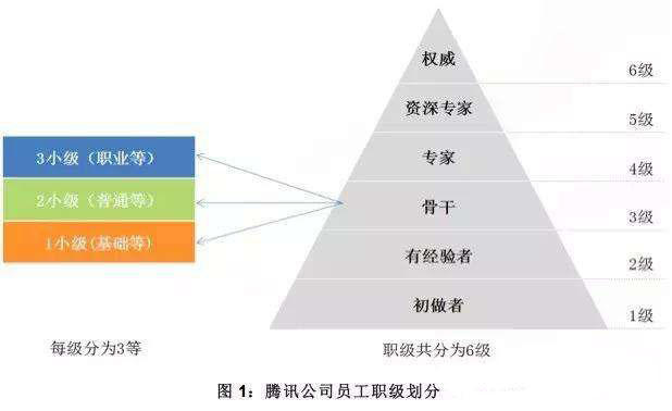 什么是人生规划视频,啥是人生规划