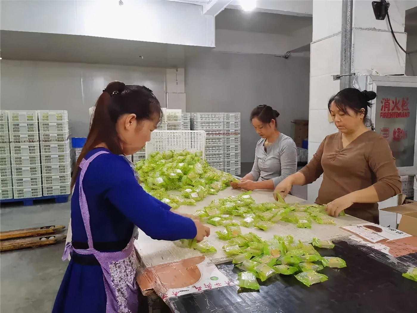 十三五脱贫致富奔小康目标,汉川乡村振兴项目建设