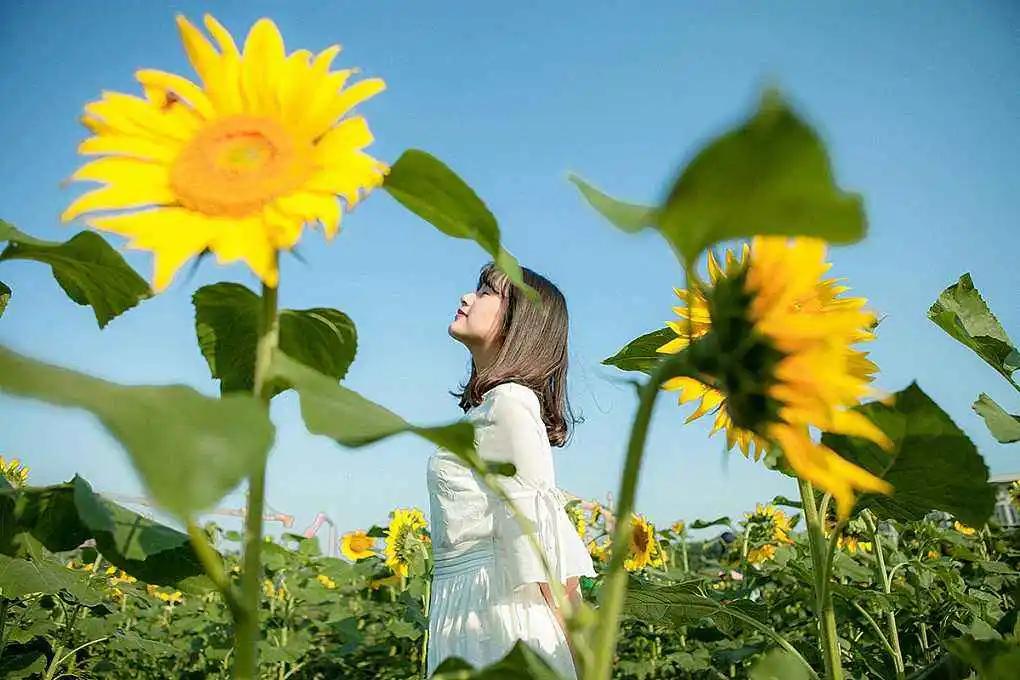 动动手指防痴呆,读读这些句子预防老年痴呆