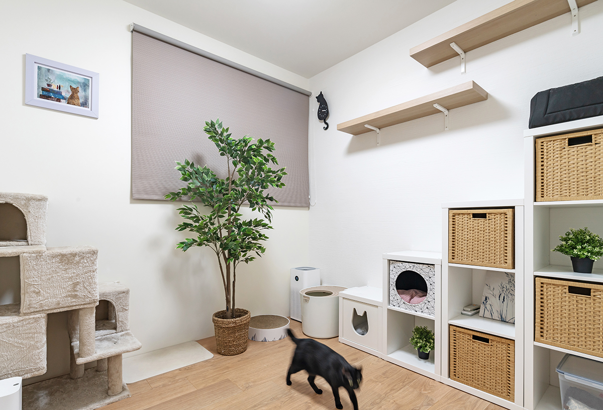 客厅设计现代简约风格没有电视,传统客厅设计比较实惠